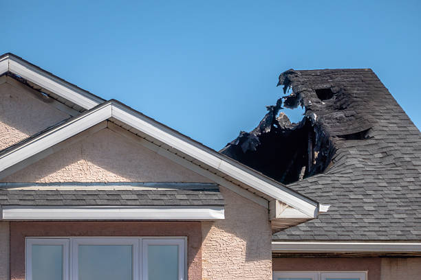 Licensed Fire Damage Removal service in Palm Harbor, FL - Fire Damage Biloxi